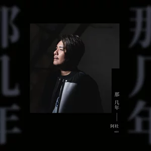 阿杜 - 那几年