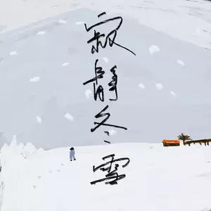 张国荣 - 抵抗夜寒