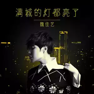 魏佳艺 - 满城的灯都亮了