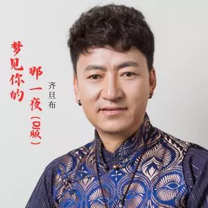 梦见你的那一夜(Dj版)