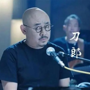 刀郎出道至今的16张专辑 共205首无损音乐歌曲首首经典[11.2GB]