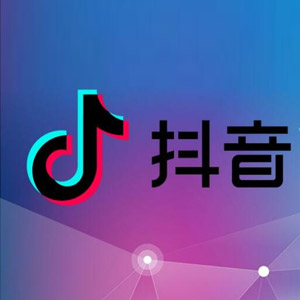 音乐合集 - 抖音热门歌曲2023年12月最火29首无损音乐歌曲,首首热门好听,值得循环播放[850M]    