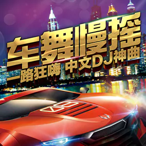 音乐合集 - 【车载DJ】甄选抖音273首热门车载DJ歌曲一路狂飙嗨不停[HiRes+MP3+8GB] 