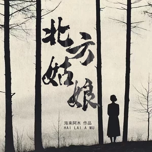 海来阿木 - 北方姑娘 (DJ默涵版)