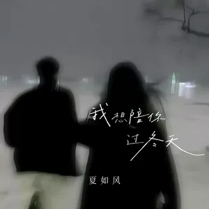 夏如风 - 我想陪你过冬天