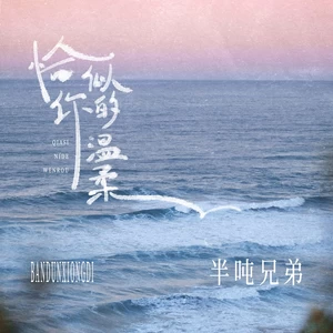半吨兄弟 - 恰似你的温柔 (DJ九零版)