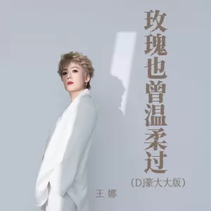 王娜 - 玫瑰也曾温柔过 (DJ豪大大版)