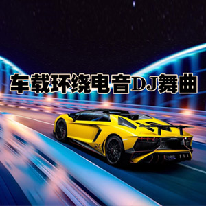 音乐合集 - 【歌单推荐】盘点2024年11月抖音最火的车载DJ劲爆流行歌曲360首合集[11.9GB]