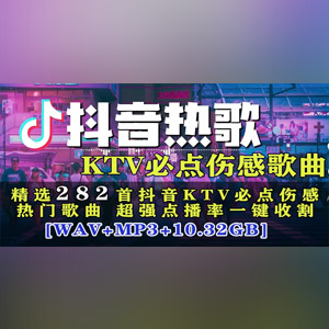 音乐合集 - 【歌单推荐】精选282首抖音KTV必点伤感热门歌曲 超强点播率一键收割[10.32GB] 