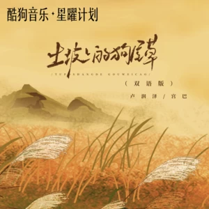 卢润泽/宫巴 - 土坡上的狗尾草(DJ沈念双语版)