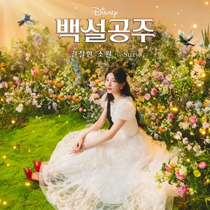 수지 - 간절한 소원(From ”Disney’s Snow White”/Korean Single Version)