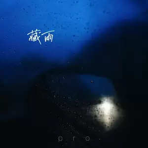 藏雨