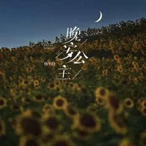 杨小壮 - 晚安公主(DJ亦辰版)