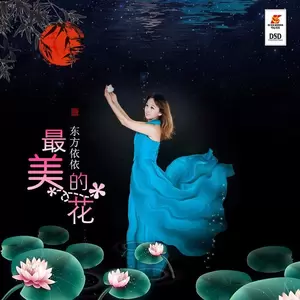 最美的花(DJ苏平)