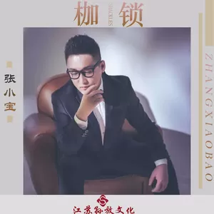 张小宝 - 枷锁(DJ版)