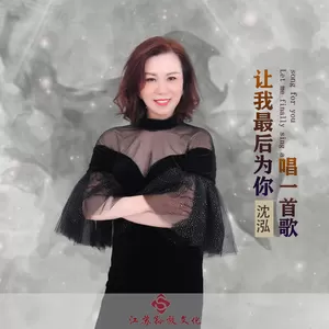 沈泓 - 让我最后为你唱一首歌(DJ版)