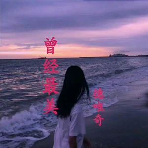 德唯奇 - 晚风(DJ版)