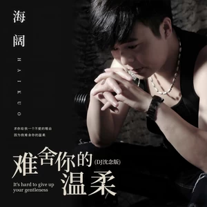 海阔 - 难舍你的温柔(DJ沈念版)