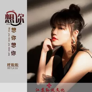 呼啦啦 - 想你想你想你(DJ版)
