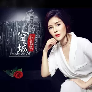 爱的空城(DJ枫叶版)