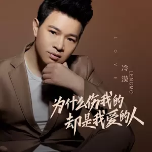 为什么伤我的却是我爱的人(DJ何鹏版)