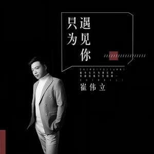 只为遇见你(DJ何鹏版)