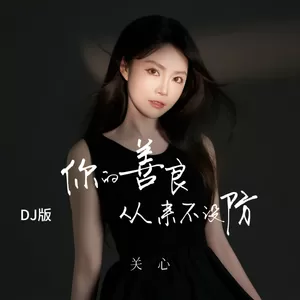 关心 - 你的善良从来不设防(DJ版)