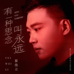 有一种思念叫永远(DJ何鹏版)