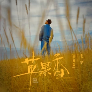 毛宁 - 苹果香(DJ阿卓版)