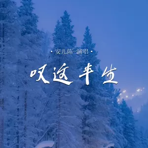 叹这半生