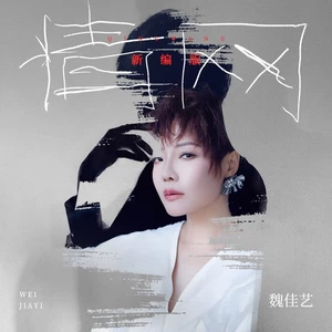 魏佳艺 - 情网(新编版)