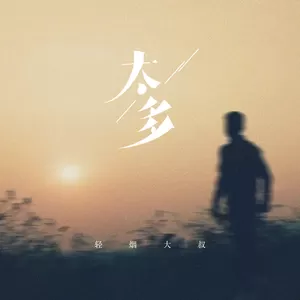 太多