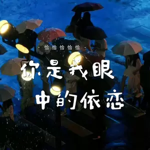 我记得你眼里的依恋