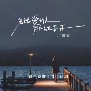 田园 - 先说爱的人为什么先离开(DJ豪大大版)