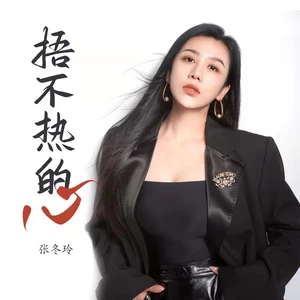 捂不热的心（DJ阿远版）