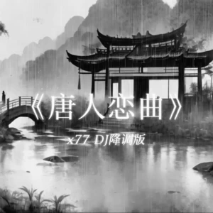 DJ嗨嗨嗨 - 唐人恋曲(x77 DJ降调版)