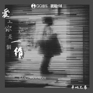 爱上你是一个错(DJ桃子阿版)
