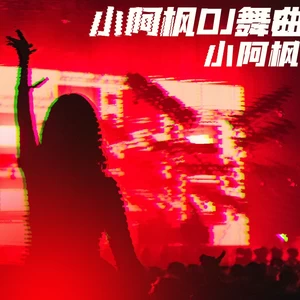 小阿枫 - 我要找到你(DJ九零版)
