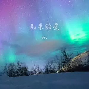 无果的爱