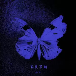 真爱可期