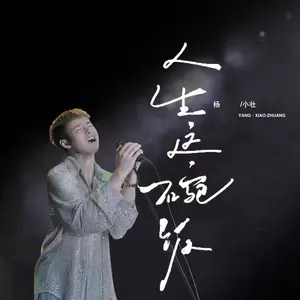 杨小壮 - 人生这碗饭
