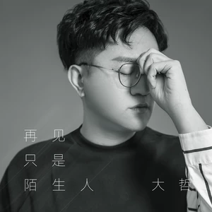 大哲 - 再见只是陌生人