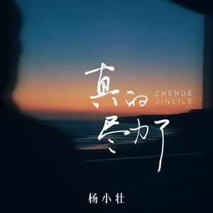 真的尽力了