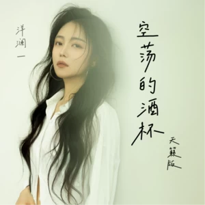 空荡的酒杯(天籁版)