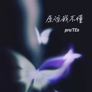pro/TEn - 原谅我不懂