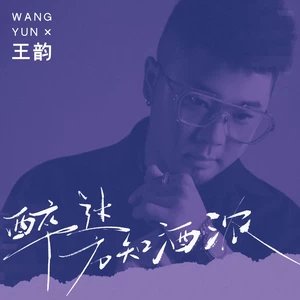 王韵 - 醉过方知酒浓