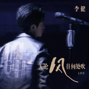 无论风往何处吹(live)