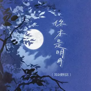 你本是明月