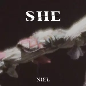 니엘 (틴탑) - SHE