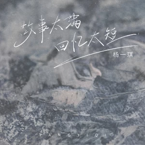 杨一琪 - 故事太满回忆太短